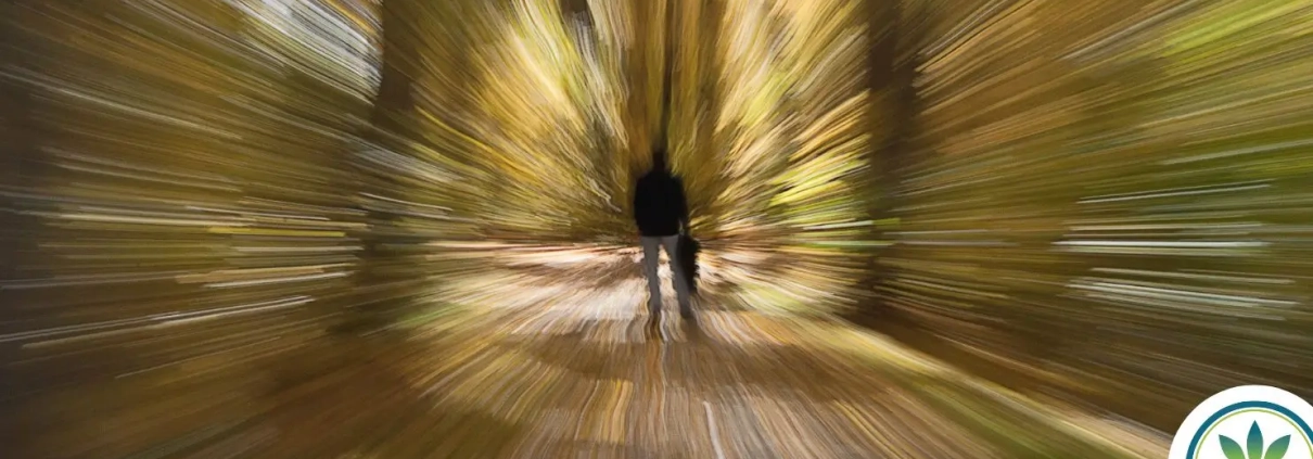 Tunnel vision with a man and dog in the centre