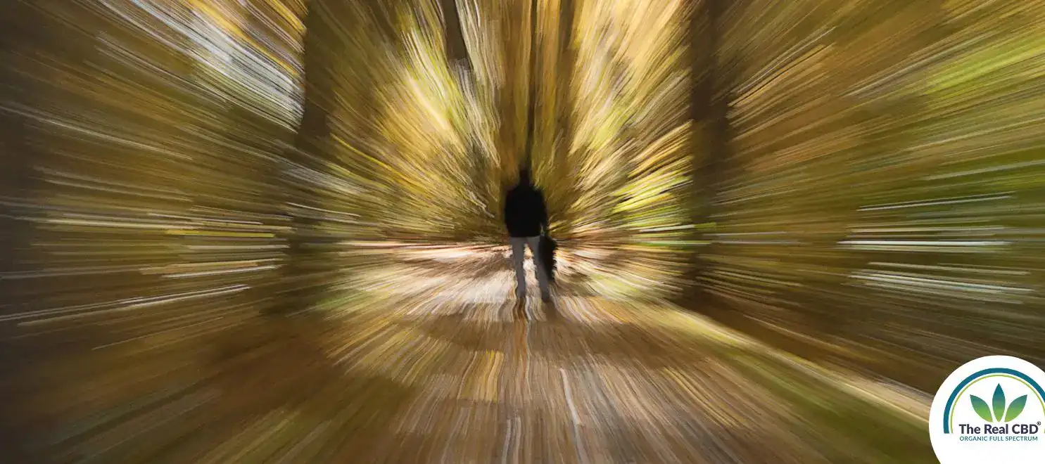 Tunnel vision with a man and dog in the centre