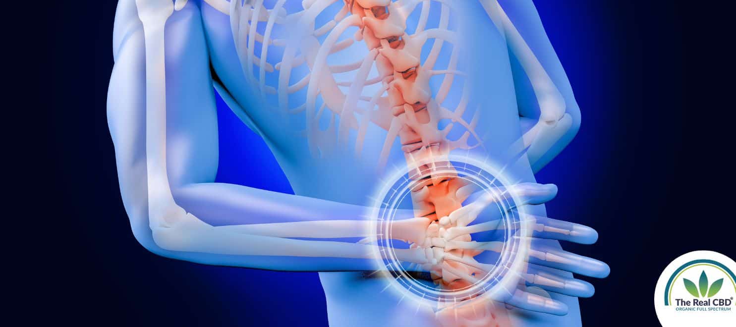 Drawing of a skeleton holding its tailbone in pain