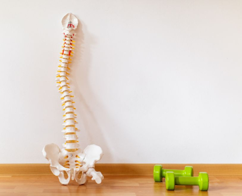 A scoliosis spine up against the wall with some dumbells laying beside
