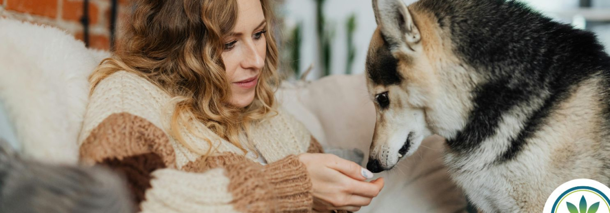Woman trying to give a treat to a picky dog
