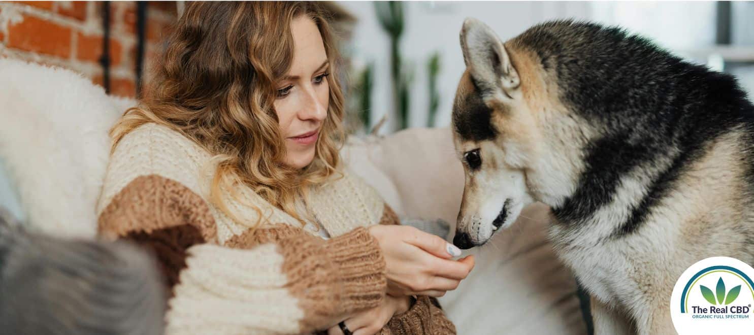 Woman trying to give a treat to a picky dog