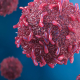 Red cancer cell