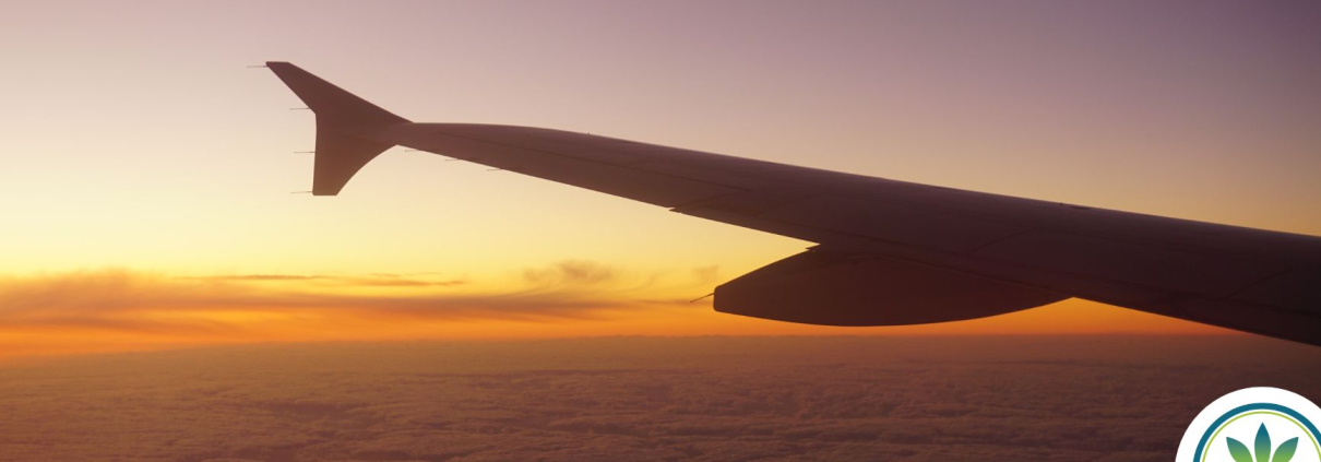 Wing of an aeroplane flying into a sunrise