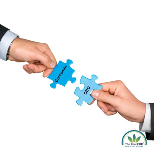 to hands holding fitting puzzle pieces with curcumin and CBD written on them