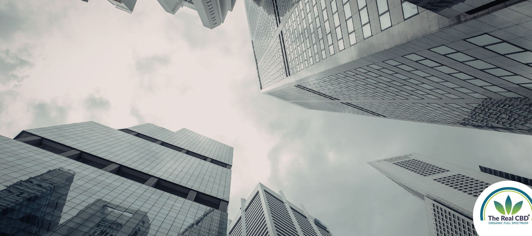 Skyscrapers seem from street view