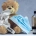 Cough medicine and CBD oil standing next to a teddy bear